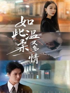 如此温柔又多情 - 现代都市 2025