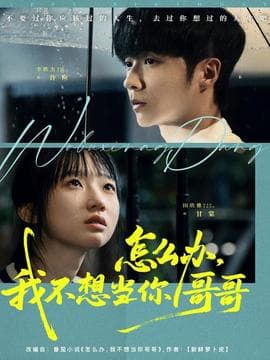 怎么办，我不想当你哥哥 - 现代都市 2025