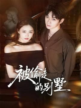 被偷走的别墅 - 现代都市 (2025) 海报