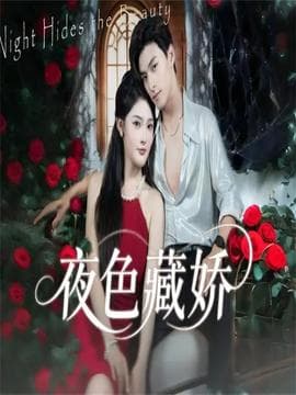 夜色藏娇 - 现代都市 2025