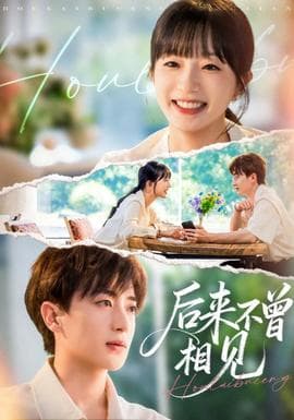 后来不曾相见 - 现代都市 (2025) 海报