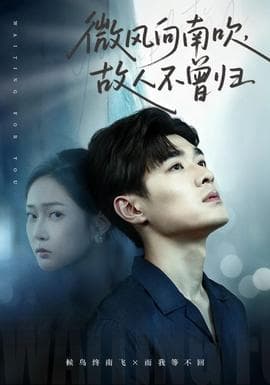 微风向南吹，故人不曾归 - 现代都市 (2025) 海报