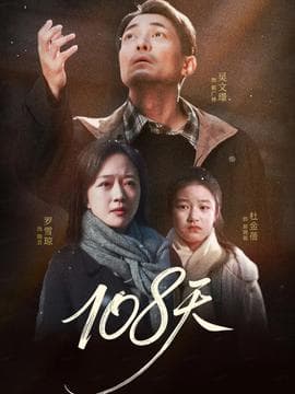 108天 - 现代都市 (2025) 海报