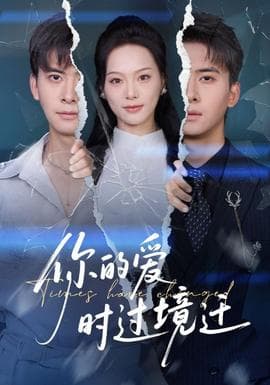 你的爱时过境迁 - 现代都市 2025