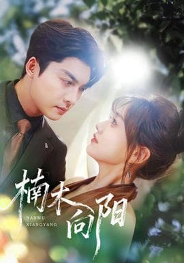 楠木向阳 - 女频恋爱 2025
