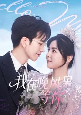 我在晚风里等你 - 女频恋爱 2025