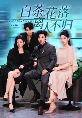 白茶花落离人 - 现代都市 2025