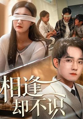 相逢却不识 - 现代都市 (2025) 海报