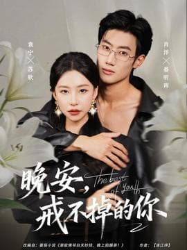 晚安，戒不掉的你 - 女频恋爱 (2025) 海报