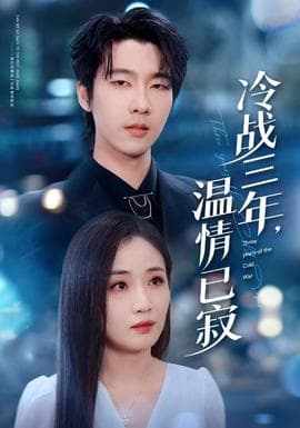 冷战三年，温情已寂 - 现代都市 (2025) 海报