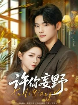 许你妄野 - 女频恋爱 2025