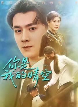 你是我的晴空 - 现代都市 2025