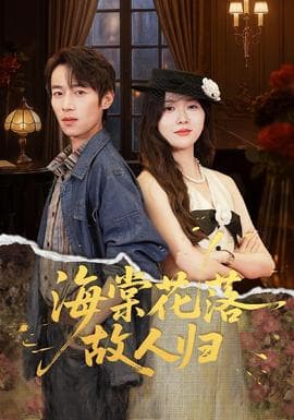 海棠花落故人归 - 现代都市 (2025) 海报