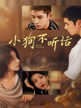 小狗不听话 - 现代都市 (2025) 海报