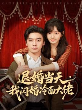 退婚当天，我闪婚冷面大佬 - 现代都市 (2025) 海报