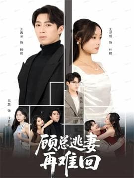 顾总逃妻再难回 - 现代都市 2025