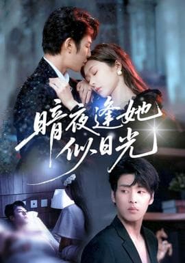 暗夜逢她似日光 - 女频恋爱 (2025) 海报