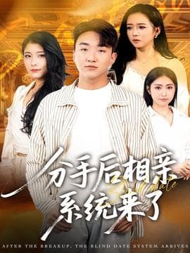 分手后相亲系统来了 - 年代穿越 (2025) 海报