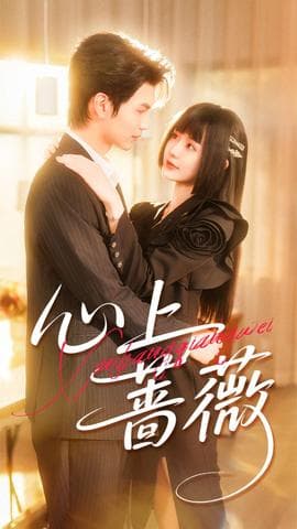 心上蔷薇 - 女频恋爱 2025