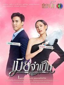 非婚不可 - 女频恋爱 2021