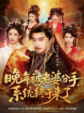 晚年被老婆分手，系统终于来了 - 古装仙侠 (2025) 海报