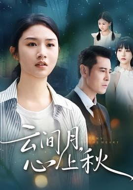 云间月心上秋 - 现代都市 (2025) 海报