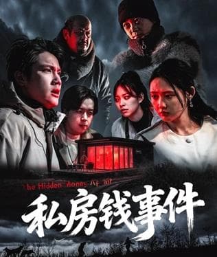 私房钱事件 - 剧情片 2025
