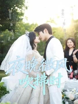 夜晚微风吹拂时 - 女频恋爱 (2025) 海报