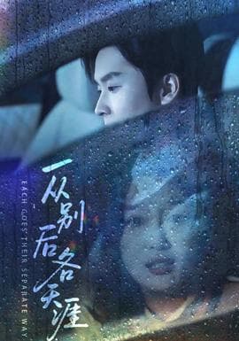 一从别后各天涯 - 现代都市 (2025) 海报