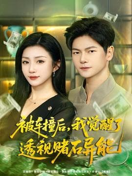 被车撞后，我觉醒了透视赌石异能 - 年代穿越 2025