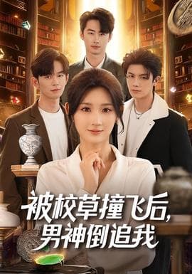 被校草撞飞后男神倒追我 - 现代都市 (2025) 海报