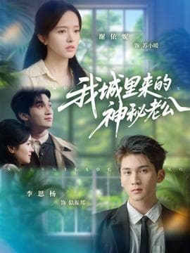 我城里来的神秘老公 - 现代都市 2025