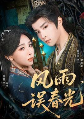 风雨误春光 - 女频恋爱 (2025) 海报