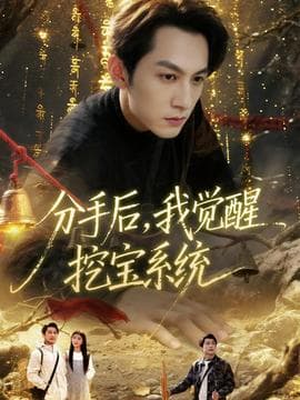 分手后，我觉醒挖宝系统 - 年代穿越 (2025) 海报