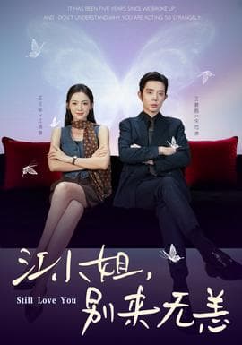 江小姐，别来无恙 - 现代都市 (2025) 海报