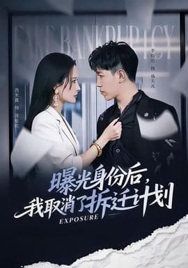 曝光身份后，我取消了拆迁计划 - 女频恋爱 2025