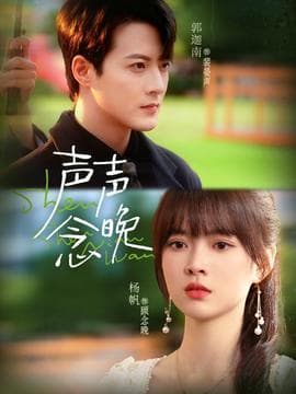 声声念晚 - 现代都市 2025