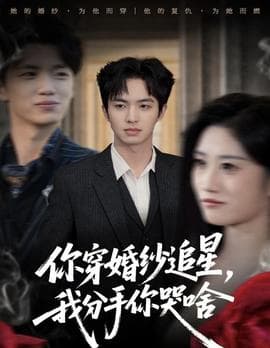你穿婚纱追星，我分手你哭啥 - 现代都市 2025