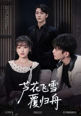 芦花飞雪覆归舟 - 现代都市 (2025) 海报