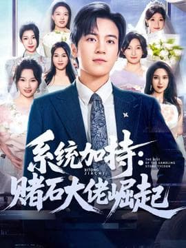 统加持：赌石大佬崛起 - 古装仙侠 (2025) 海报