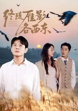 终随雁影各西东 - 现代都市 (2025) 海报