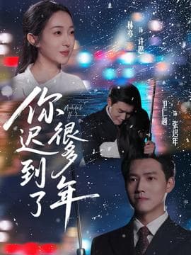 你迟到了很多年 - 现代都市 (2025) 海报