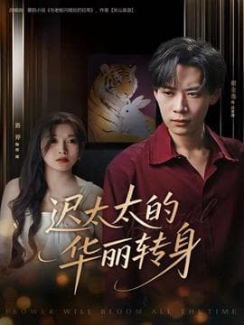 迟太太的华丽转身 - 现代都市 (2025) 海报