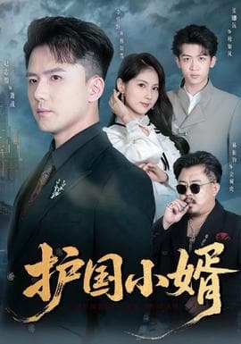 护国小婿 - 现代都市 (2025) 海报