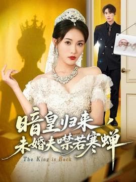 暗皇归来，未婚夫噤若寒蝉 - 女频恋爱 (2025) 海报