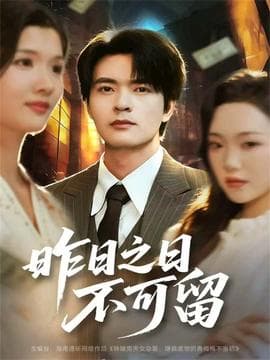 昨日之日不可留 - 现代都市 (2025) 海报