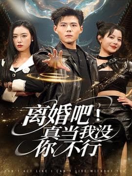 离婚吧！真当我没你不行 - 现代都市 (2025) 海报