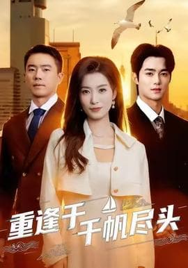 重逢于千帆尽头 - 现代都市 (2025) 海报