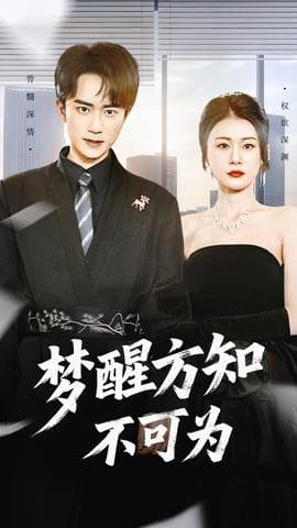 梦醒方知不可为 - 现代都市 (2025) 海报