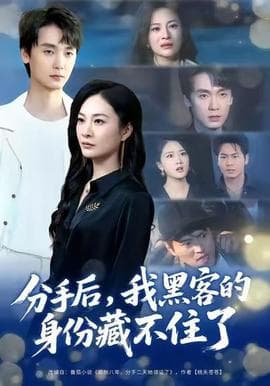 分手后，我黑客的身份藏不住了 - 年代穿越 (2025) 海报